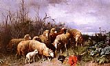 Schafe Eine Vogelscheuche Betrachtend by Friedrich Otto Gebler